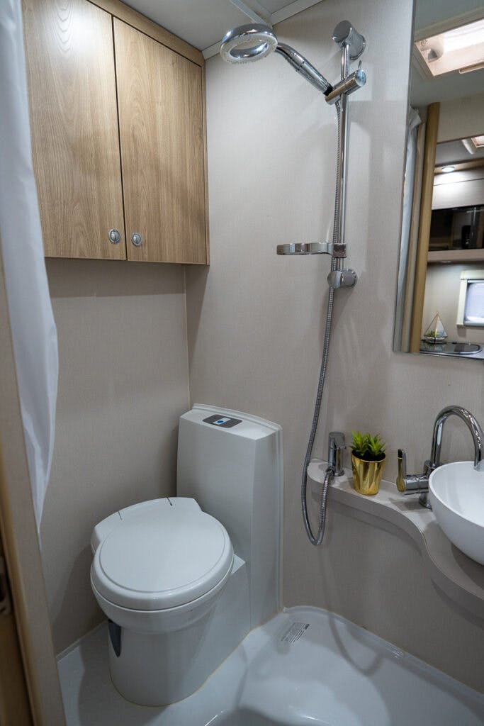 A compact bathroom inside the 2019 Elddis Autoquest 196 Signature Edition features a showerhead, a toilet, and a small sink with a faucet and mirror above it. Wooden cabinets are mounted above the toilet, while the sink counter holds a small potted plant and soap dispenser. The bathroom also has a white curtain.