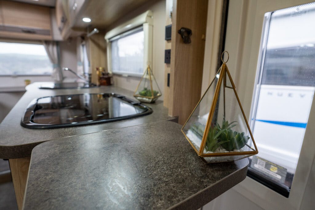 Interior of the 2019 Elddis Autoquest 196 Signature Edition RV kitchen features a sleek countertop with an inset stove, a window with blinds, and a triangular glass terrarium containing a small plant. A closed door with a window is seen on the right side, and the outside of the RV is partially visible.
